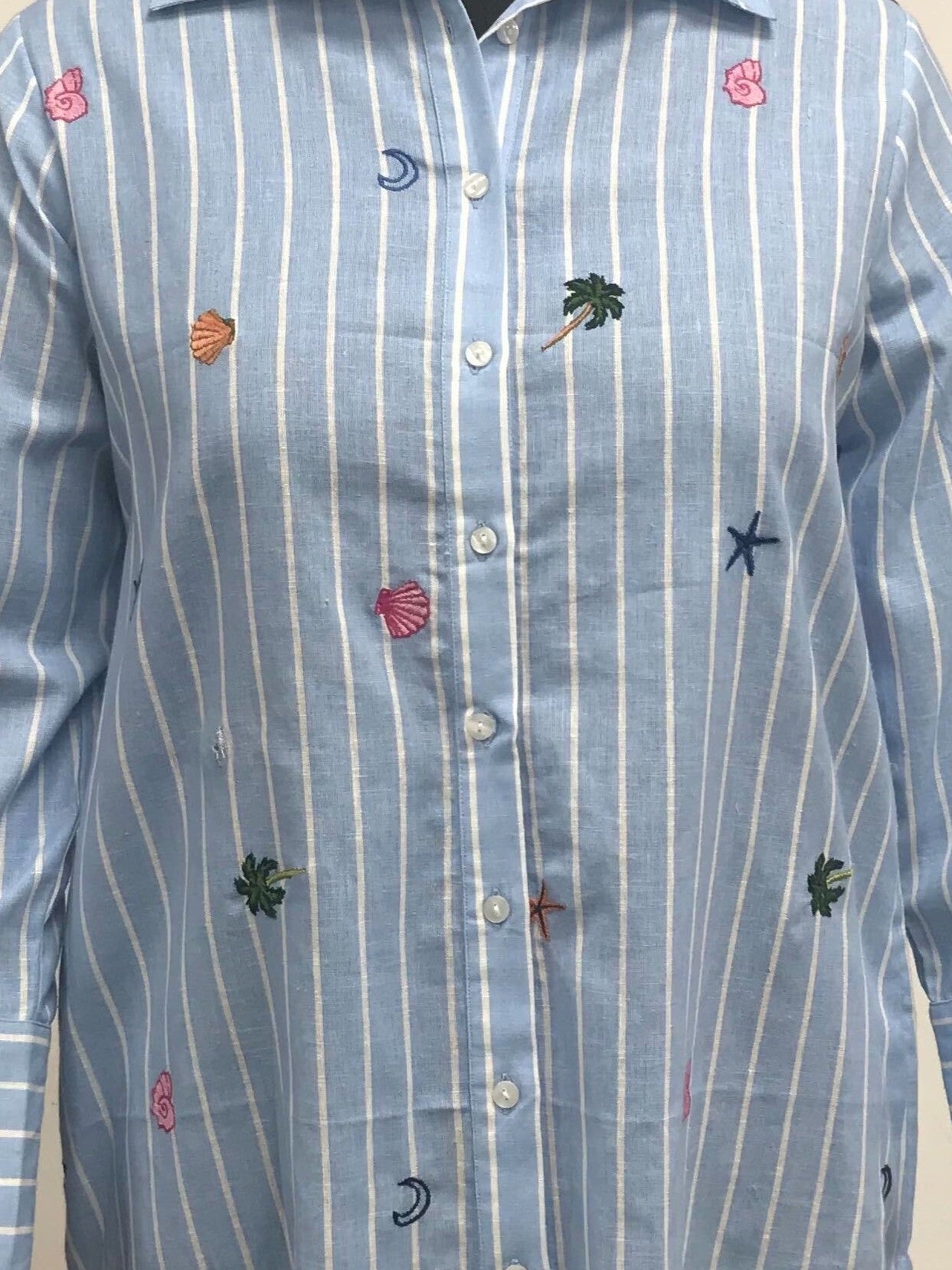 Blue Striped Embroidered Shirt with Button-Down Front